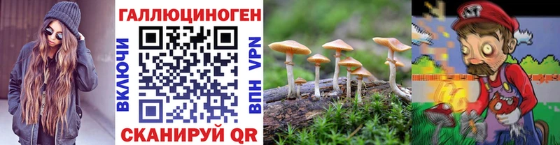 Галлюциногенные грибы Magic Shrooms Завитинск